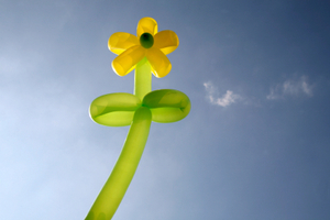 Specialty parties are our delight - contact us and begin to create your very own memories