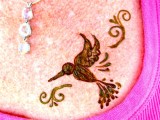 Henna body art - Hummingbird