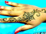 Henna body art - Hand vine